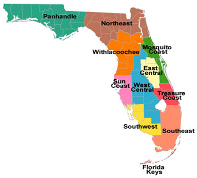 Florida food stamps online application - Food Stamps Now