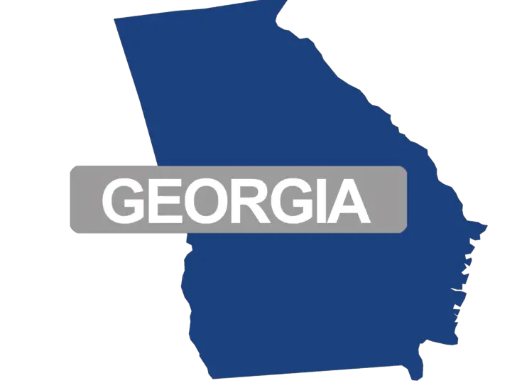 Georgia Food Stamps Online Application