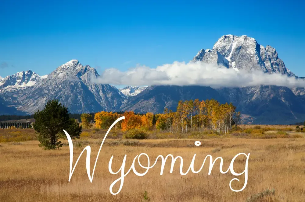 "Apply for Food Stamps in Wyoming Online"