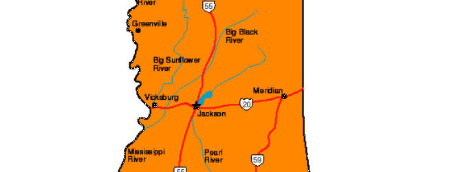 "How to Apply for Food Stamps in Mississippi Online"