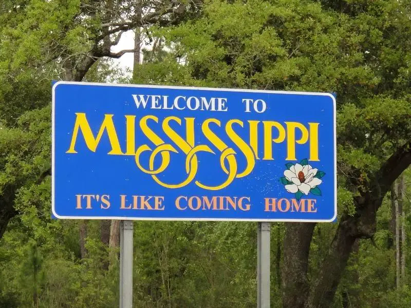 "How to Apply for Food Stamps in Mississippi Online"