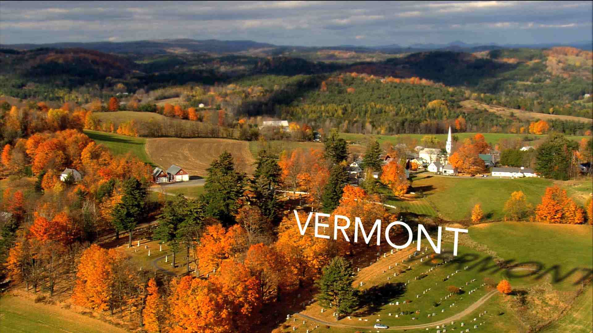 "How to Apply for Food Stamps in Vermont Online"