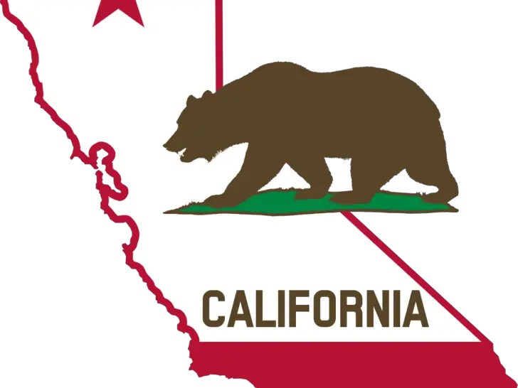California food stamps online application