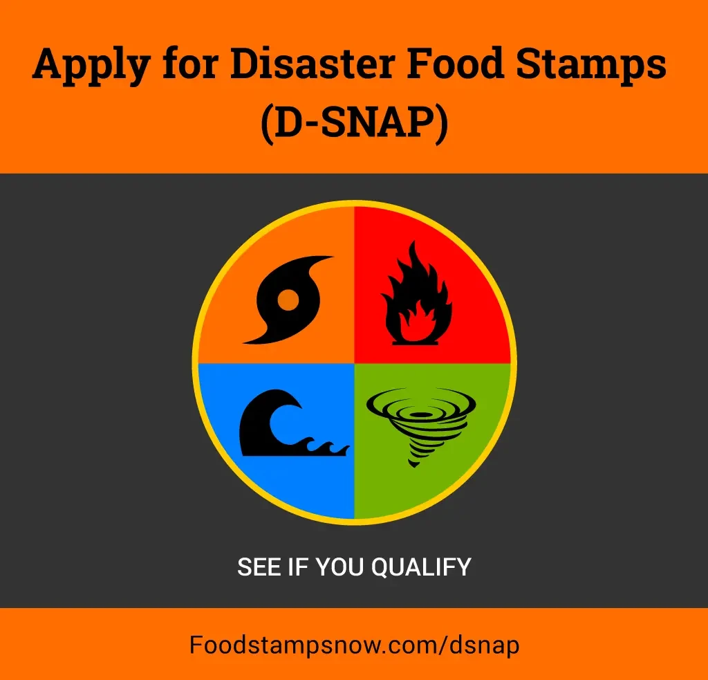 "How to apply for disaster food stamps online"