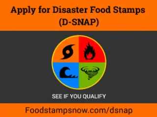 How to apply for disaster food stamps online
