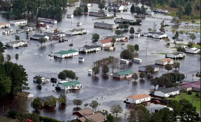 apply-for-disaster-food-stamps-in-north-carolina-food-stamps-now