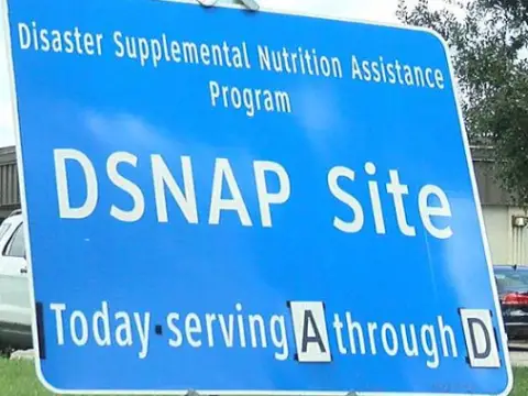 Apply for Disaster Food Stamps in South Carolina