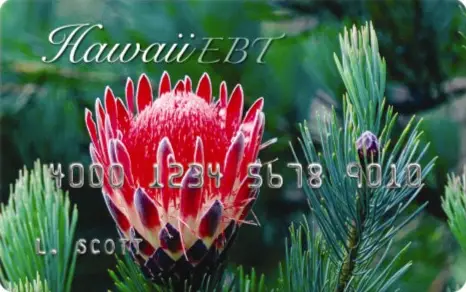 Hawaii EBT Card 