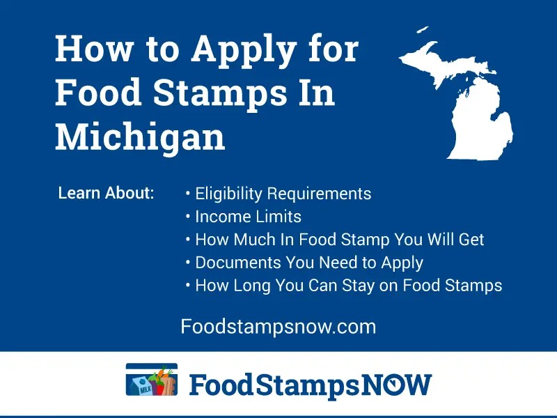"How to Apply for Food Stamps in Michigan Online"