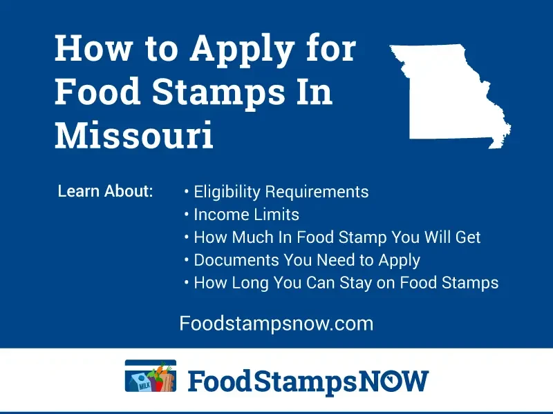 "How to Apply for Food Stamps in Missouri Online"