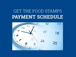 Food Stamps Schedule 2023