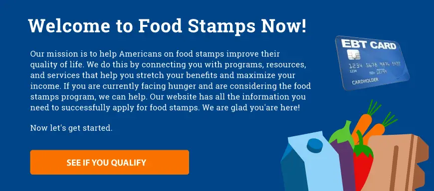 Food Stamps Now Welcome Banner