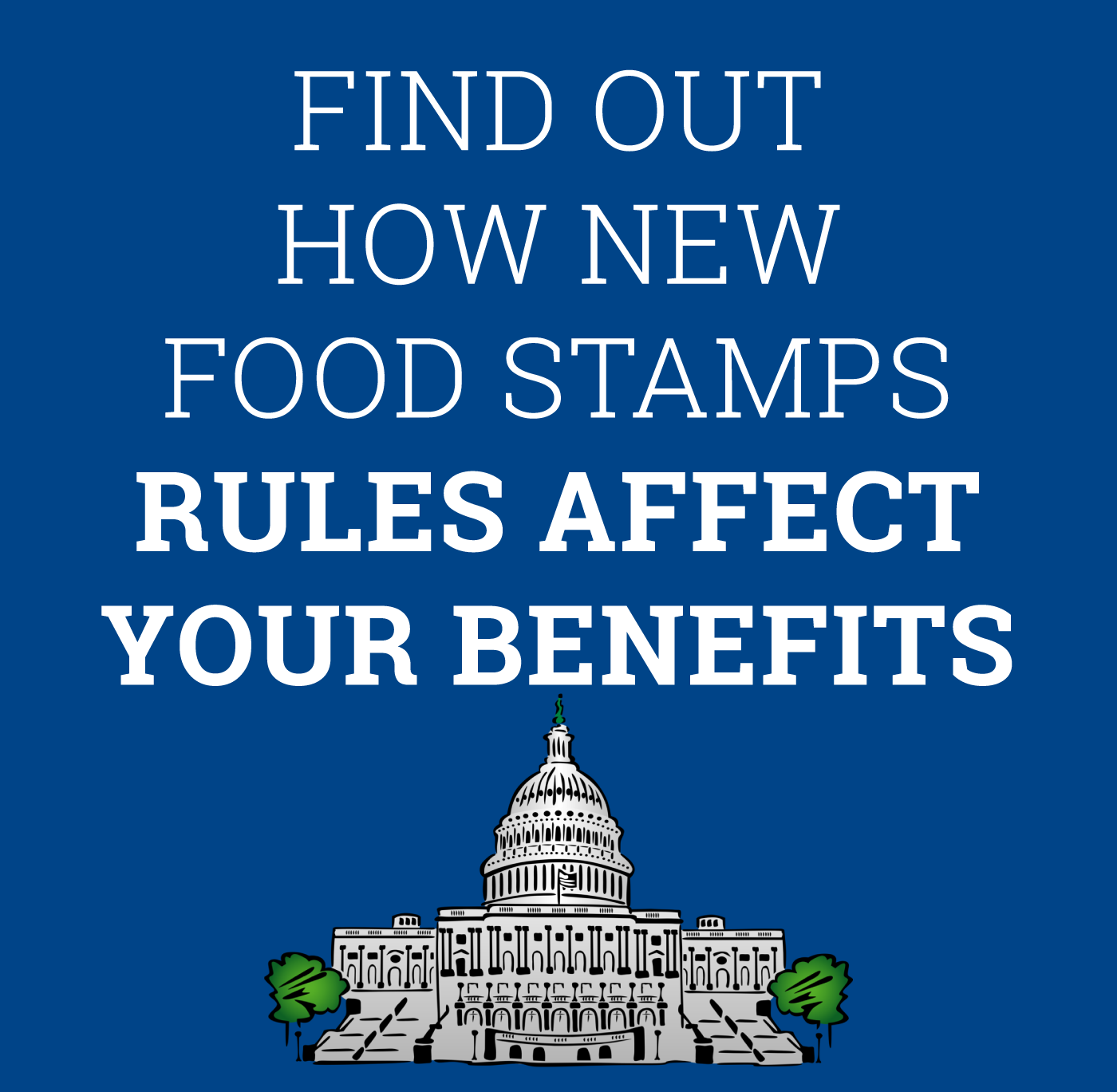 "new work requirements food stamps"