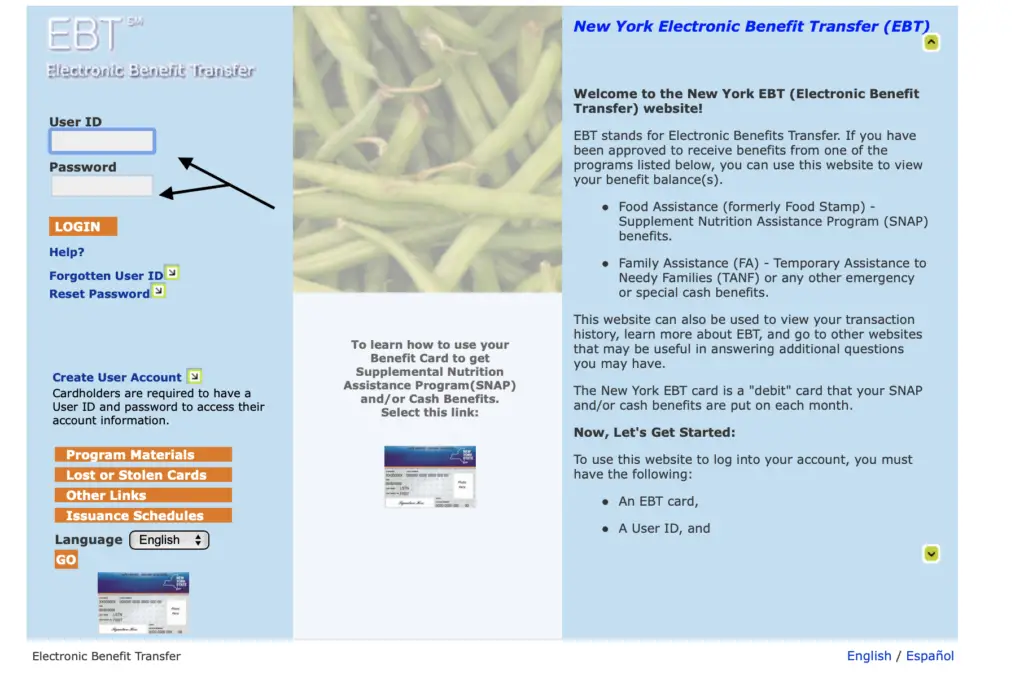 "New York EBT Card Balance Online"