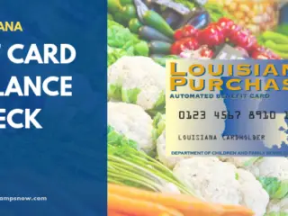 Louisiana EBT Card Balance – Phone Number and Login