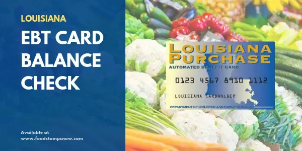 "Louisiana EBT Card Balance Check"