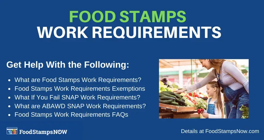 "Food Stamps Work Requirements"