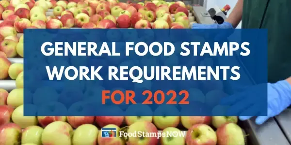 General Food Stamps Work Requirements for 2022