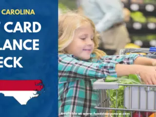 North Carolina EBT Card Balance – Phone Number and Login