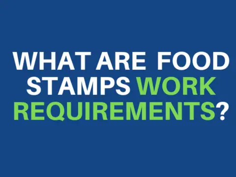 Food Stamps Work Requirements [2022 Guide]