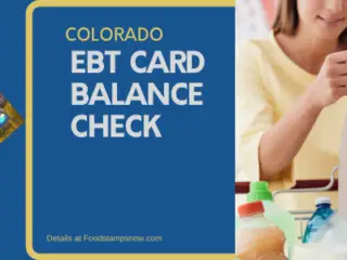 Colorado EBT Card Balance – Phone Number and Login