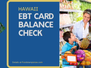 Hawaii EBT Card Balance – Phone Number and Login