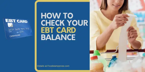 EBT Card Balance Check By State Food Stamps Now