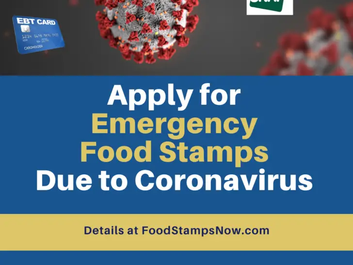 Millions of Americans Approved for Food Stamps due to Coronavirus