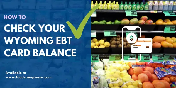 How to Check Wyoming EBT Card Balance