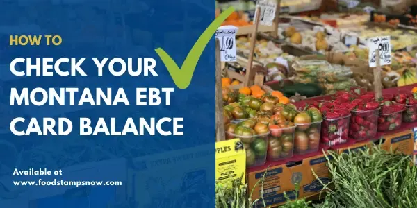 How to check Montana EBT Card Balance