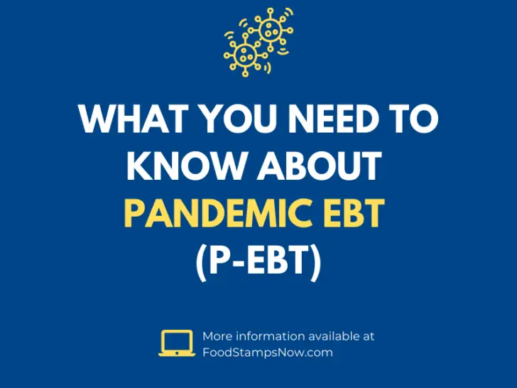 Pandemic EBT Benefits Guide (P-EBT)