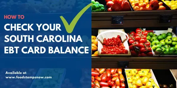How to Check South Carolina EBT Card Balance
