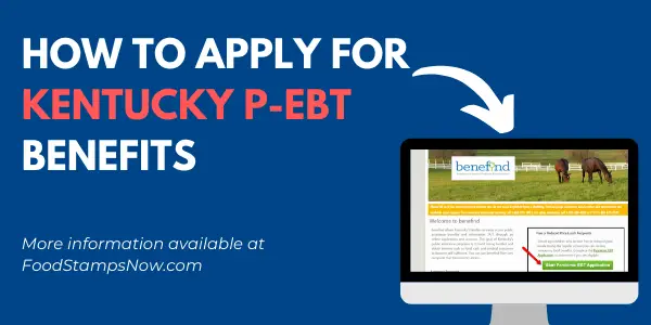 Apply for Kentucky P-EBT Benefits