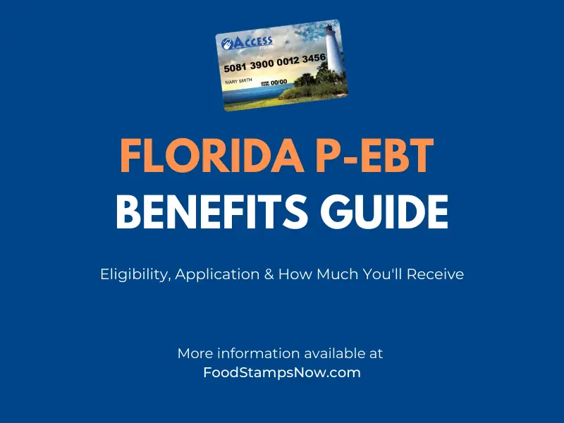 Florida PEBT Benefits Guide Food Stamps Now