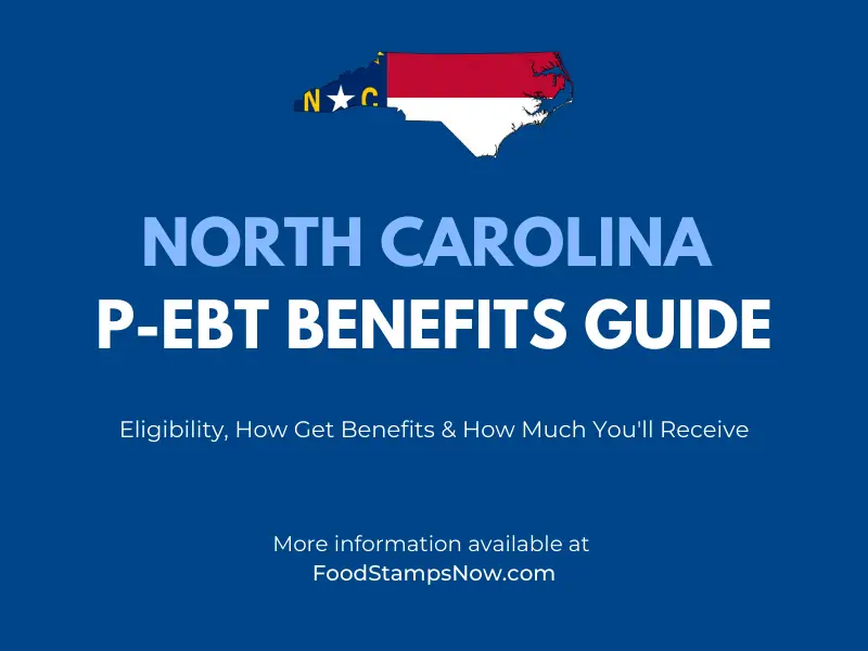 North Carolina PEBT Benefits Guide Food Stamps Now