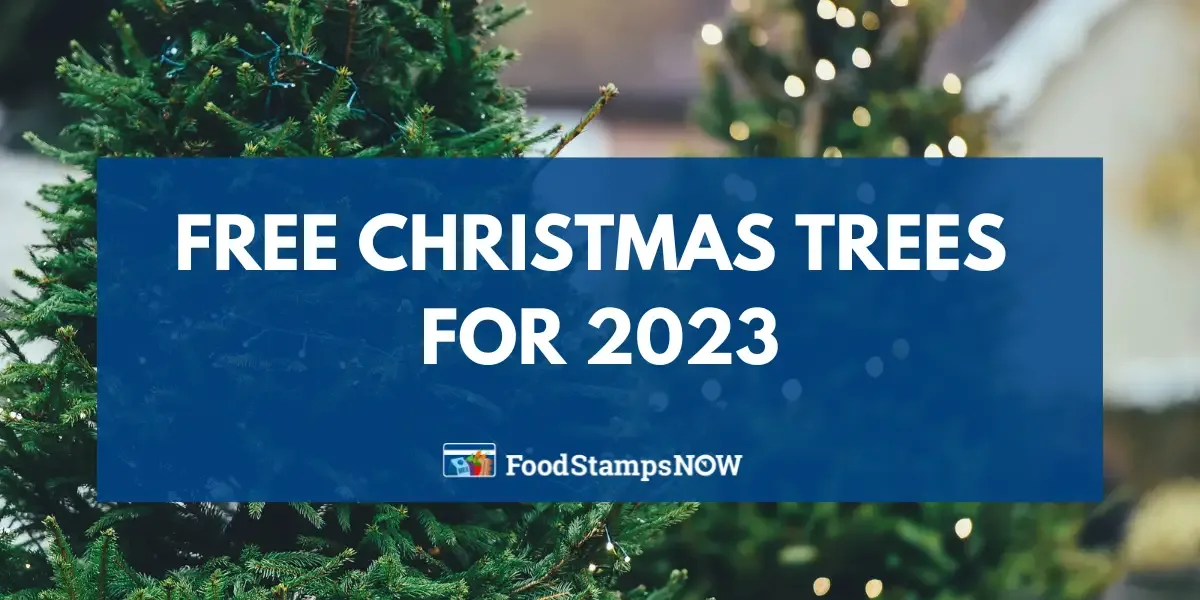 Free Christmas Trees for 2023