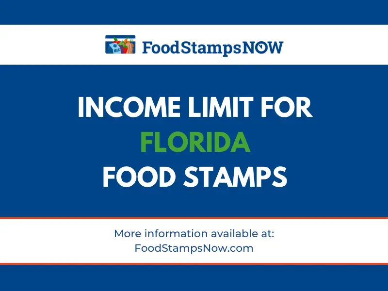 What Is The Income Limit For Disaster Food Stamps In Florida