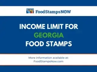 2023 Income Limit for Florida Food Stamps Food Stamps Now