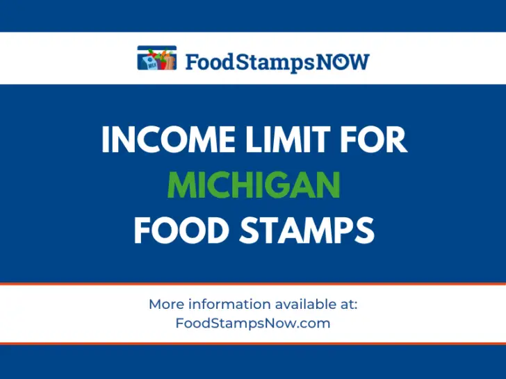 Income Limit for Michigan food stamps
