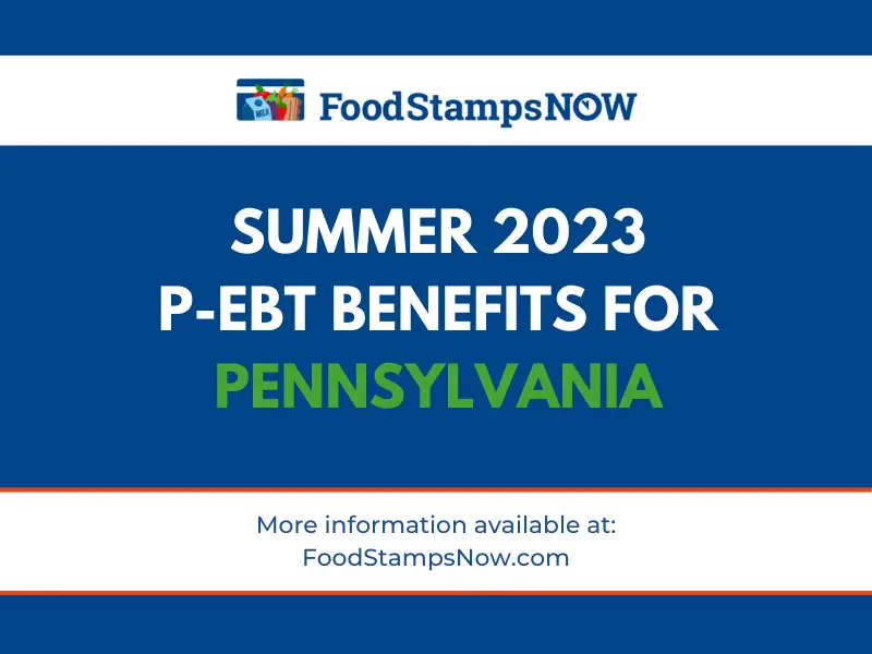 Summer 2023 PEBT for Michigan Food Stamps Now