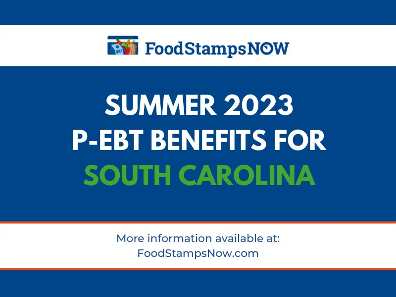 Summer 2023 PEBT for South Carolina Food Stamps Now