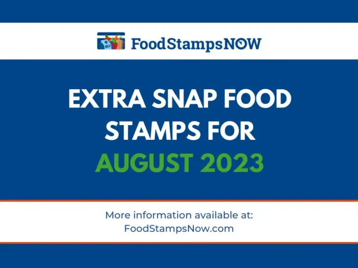 Extra SNAP Food Stamps for August 2023
