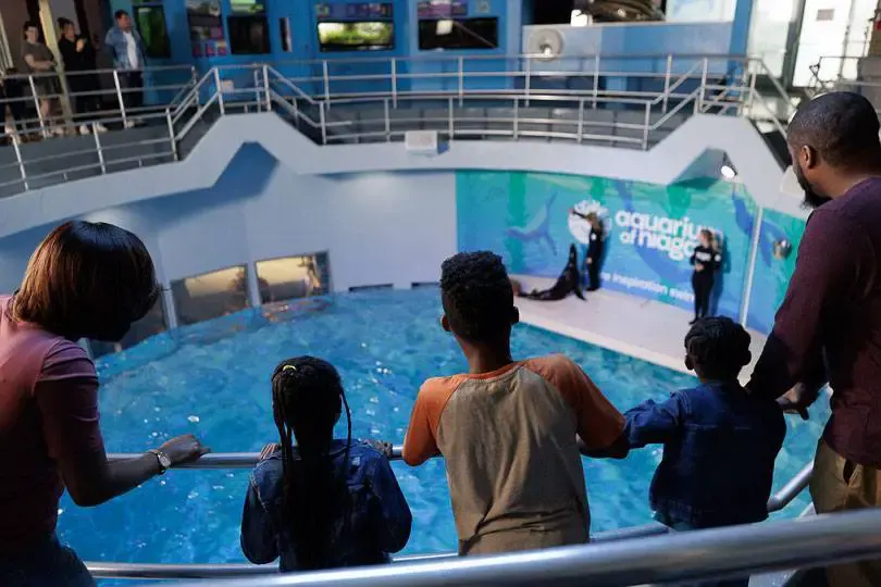 Discounted Admission to Aquarium of Niagara